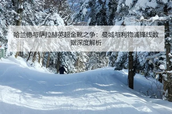 ha-lan-de-yu-sa-la-he-ying-chao-jin-xue-zhi-zheng-man-cheng-yu-li-wu-pu-feng-xian-shu-ju-shen-du-jie-xi-3-966.jpg