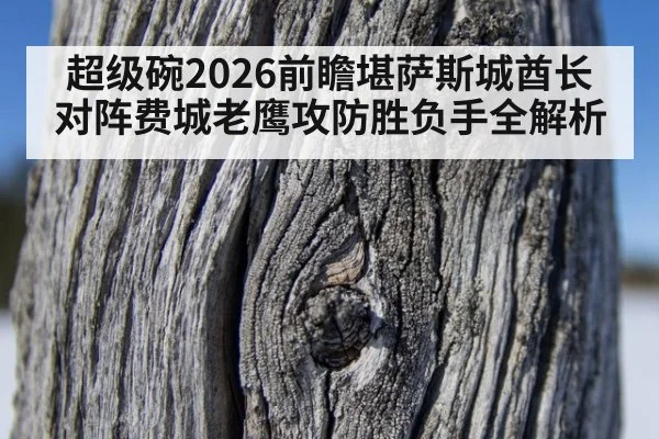超级碗2026前瞻堪萨斯城酋长对阵费城老鹰攻防胜负手全解析